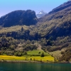 Zdjęcie z Norwegii - GEIRANGERFIORD