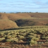 Zdjęcie z Australii - Krajobraz Flinders Ranges