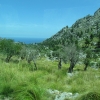 Zdjęcie z Hiszpanii - w drodze do Sa Calobra...