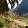 Zdjęcie z Hiszpanii - Barranco de Masca