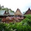 Zdjęcie z Hiszpanii - LORO PARK