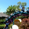 Zdjęcie z Hiszpanii - LORO PARK