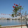 Zdjęcie z Albanii - Saranda