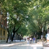 Zdjęcie z Albanii - Tirana