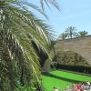 Zdjęcie z Hiszpanii - Palma de Mallorca