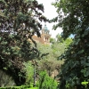 Zdjęcie z Hiszpanii - Valldemossa