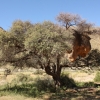 Zdjęcie z Namibii - 