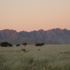Zdjęcie z Namibii - 