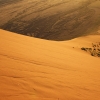 Zdjęcie z Namibii - 