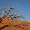 Zdjęcie z Namibii - 