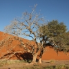 Zdjęcie z Namibii - 