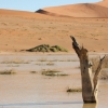 Zdjęcie z Namibii - 