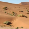 Zdjęcie z Namibii - 