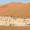 Zdjęcie z Namibii - 