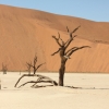 Zdjęcie z Namibii - 