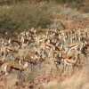 Zdjęcie z Namibii - 