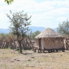 Zdjęcie z Namibii - 