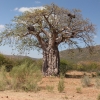 Zdjęcie z Namibii - 