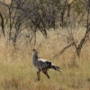 Zdjęcie z Namibii - 