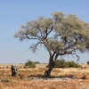 Zdjęcie z Namibii - 