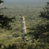 Zdjęcie z Namibii - 