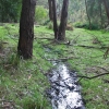 Zdjęcie z Australii - Gdzie strumyk plynie