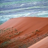 Zdjęcie z Namibii - 