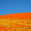 Zdjęcie z Namibii - 