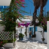 Zdjęcie z Grecji - MYKONOS