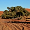 Zdjęcie z Namibii - 