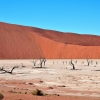 Zdjęcie z Namibii - 