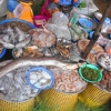 Zdjęcie z Tajlandii - owoce morza- targ w krabi
