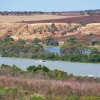 Zdjęcie z Australii - Rzeka Murray River