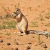 Zdjęcie z Namibii - 