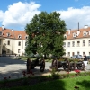 Zdjęcie z Polski - Pułtusk