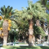 Zdjęcie z Grecji - Park w Loutraki