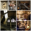 Zdjęcie z Wielkiej Brytanii - Muzeum Historii Naturalne