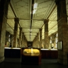 Zdjęcie z Wielkiej Brytanii - Natural History Museum
