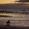 Zdjęcie z Australii - Aldinga & Sellick Beach