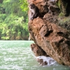 Zdjęcie z Tajlandii - malpka - phangnga bay