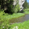 Zdjęcie ze Stanów Zjednoczonych - black hills nat. forrest