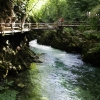 Zdjęcie ze Słowenii - 