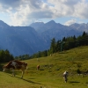 Zdjęcie ze Słowenii - Velika planina