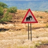 Zdjęcie z Namibii - 
