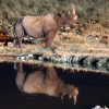Zdjęcie z Namibii - 