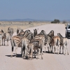 Zdjęcie z Namibii - 