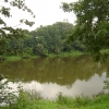 Zdjęcie z Litwy - Niemen