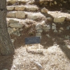 Zdjęcie z Izraelu - Yad Vashem