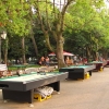 Zdjęcie z Gruzji - Park Nadmorski.
