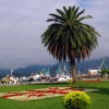 Zdjęcie z Gruzji - Batumski port.